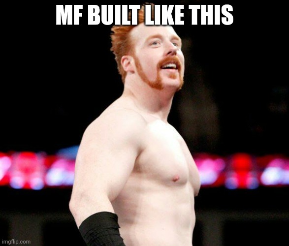 Sheamus taylor swift shake it off wwe | MF BUILT LIKE THIS | image tagged in sheamus taylor swift shake it off wwe | made w/ Imgflip meme maker