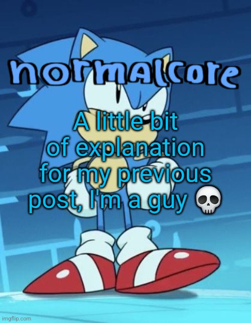 Random sonic template | A little bit of explanation for my previous post, I'm a guy 💀 | image tagged in random sonic template | made w/ Imgflip meme maker