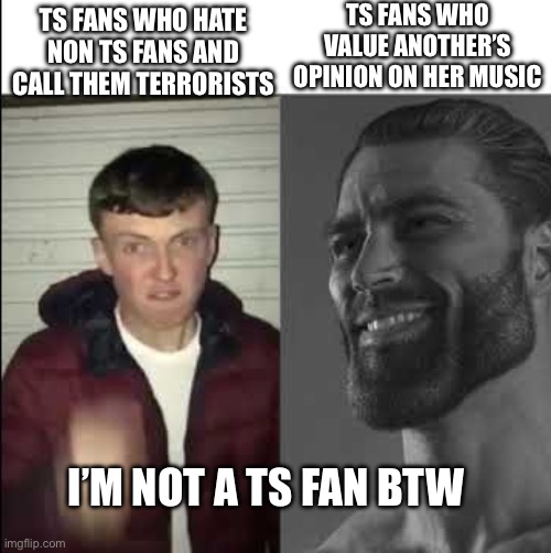 Looking at you crimson-shadow/emerald (98) | TS FANS WHO VALUE ANOTHER’S OPINION ON HER MUSIC; TS FANS WHO HATE NON TS FANS AND CALL THEM TERRORISTS; I’M NOT A TS FAN BTW | image tagged in giga chad template | made w/ Imgflip meme maker
