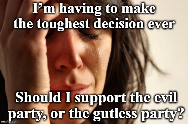 Voting Worries in the First World | I’m having to make the toughest decision ever; Should I support the evil party, or the gutless party? | image tagged in first world problems,presidential election,maga,nevertrump meme,joe biden worries,donald trump is an idiot | made w/ Imgflip meme maker