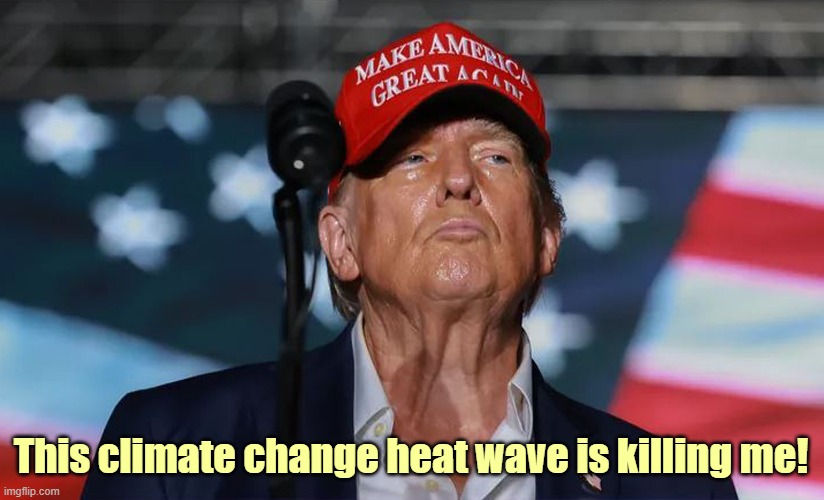 Sweaty Donald Trump! | This climate change heat wave is killing me! | image tagged in donald trump,sweaty,climate change,old man shrugging,neck vein guy | made w/ Imgflip meme maker