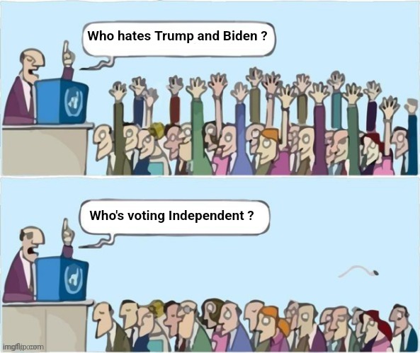 How about you ? | Who hates Trump and Biden ? Who's voting Independent ? | image tagged in people raising hands,republicans,democrats,they're the same picture,politicians suck | made w/ Imgflip meme maker
