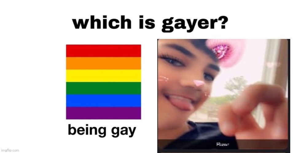 lucodick | image tagged in which is gayer | made w/ Imgflip meme maker