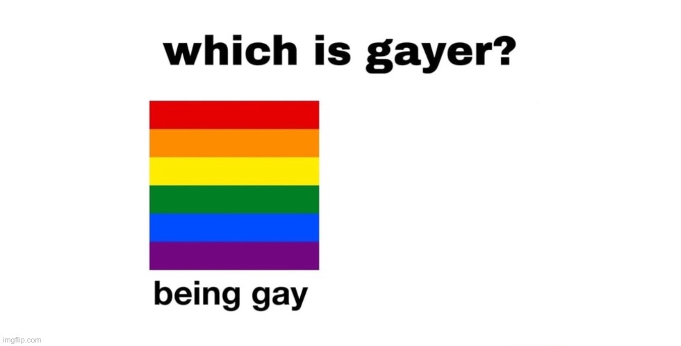 Which Is Gayer? | image tagged in which is gayer | made w/ Imgflip meme maker