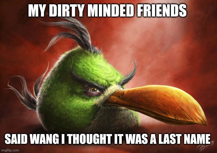 Realistic Angry Bird | MY DIRTY MINDED FRIENDS; SAID WANG I THOUGHT IT WAS A LAST NAME | image tagged in realistic angry bird | made w/ Imgflip meme maker