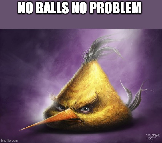 Realistic yellow angry bird | NO BALLS NO PROBLEM | image tagged in realistic yellow angry bird | made w/ Imgflip meme maker