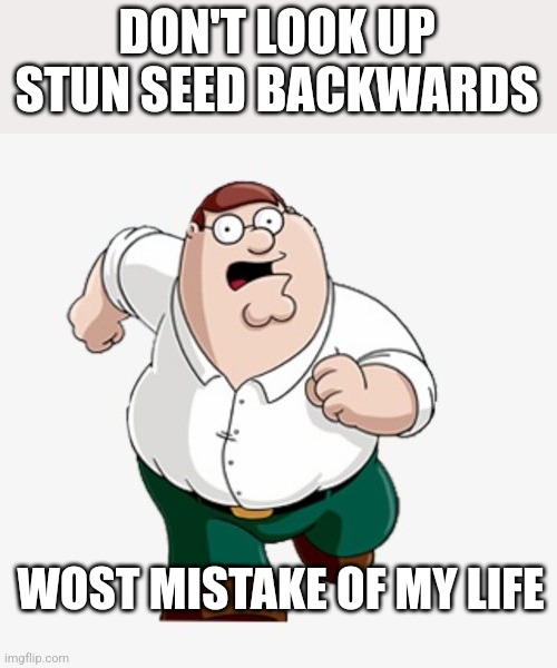 don't google | DON'T LOOK UP STUN SEED BACKWARDS; WOST MISTAKE OF MY LIFE | image tagged in don't google | made w/ Imgflip meme maker