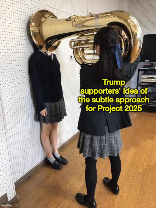 making sure they get the idea | Trump supporters' idea of the subtle approach for Project 2025 | image tagged in girl putting tuba on girl's head | made w/ Imgflip meme maker