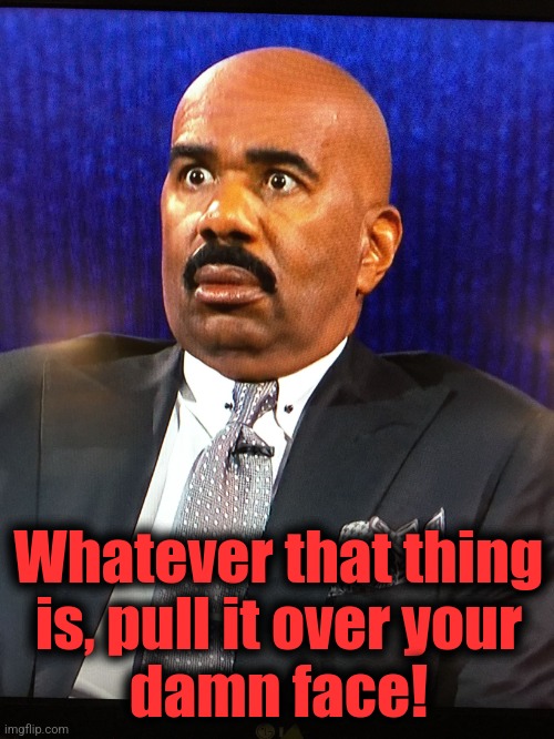 Steve Harvey WTF Face | Whatever that thing
is, pull it over your
damn face! | image tagged in steve harvey wtf face | made w/ Imgflip meme maker