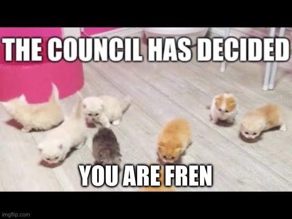 the council has decided | YOU ARE FREN | image tagged in the council has decided | made w/ Imgflip meme maker