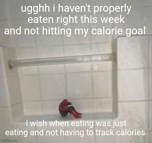 mood | ugghh i haven't properly eaten right this week and not hitting my calorie goal; i wish when eating was just eating and not having to track calories | image tagged in mood | made w/ Imgflip meme maker