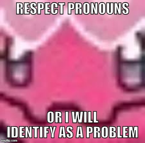 Respect pronouns | image tagged in respect pronouns | made w/ Imgflip meme maker