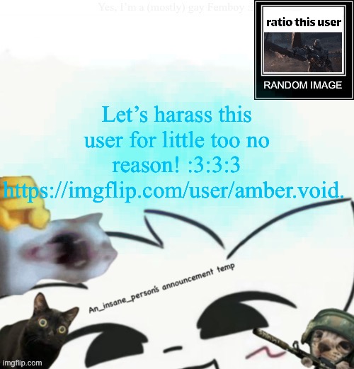My lil announcement | Let’s harass this user for little too no reason! :3:3:3
https://imgflip.com/user/amber.void. | image tagged in my lil announcement | made w/ Imgflip meme maker