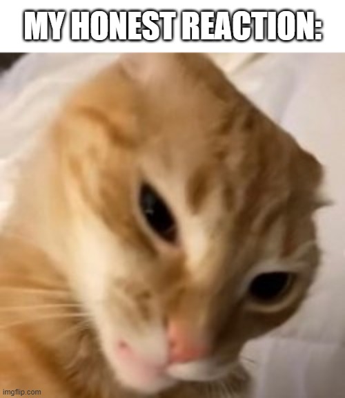 MY HONEST REACTION: | made w/ Imgflip meme maker