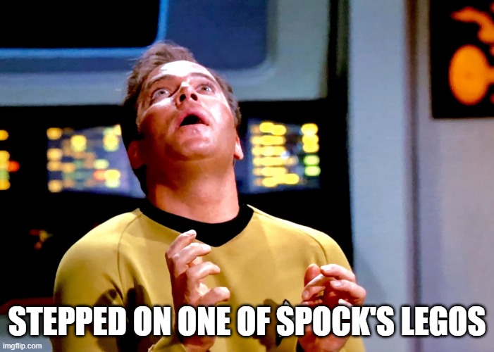 Damnit Spock | STEPPED ON ONE OF SPOCK'S LEGOS | image tagged in kirk transfixed | made w/ Imgflip meme maker