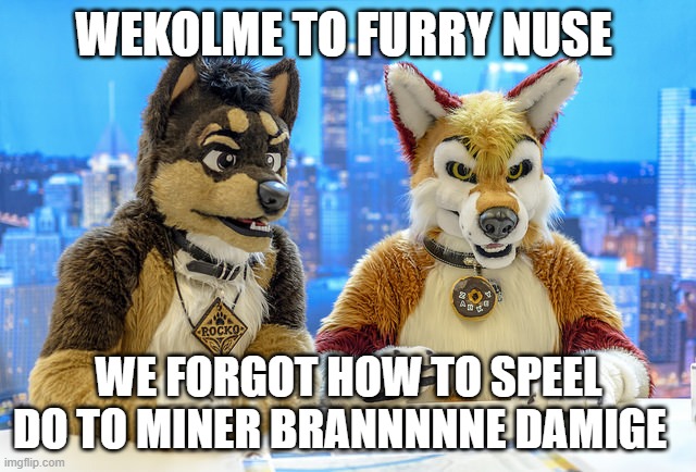 Furry News | WEKOLME TO FURRY NUSE; WE FORGOT HOW TO SPEEL DO TO MINER BRANNNNNE DAMIGE | image tagged in furry news | made w/ Imgflip meme maker