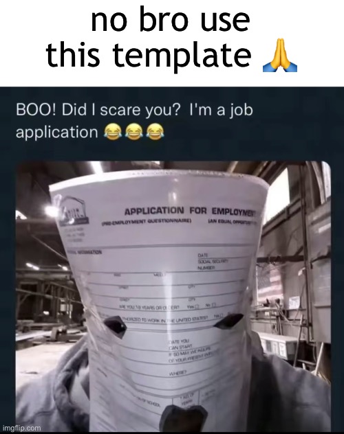 Did I scare you? I'm a job application | no bro use this template 🙏 | image tagged in did i scare you i'm a job application | made w/ Imgflip meme maker
