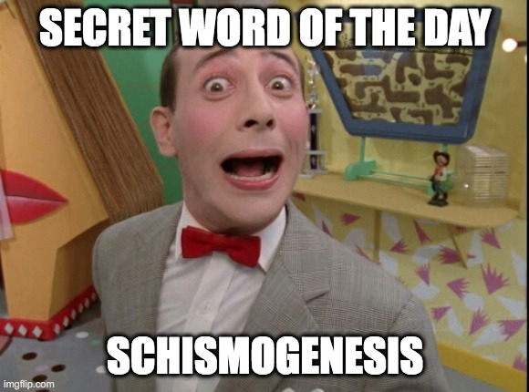 Schismogenesis | SECRET WORD OF THE DAY; SCHISMOGENESIS | image tagged in peewee herman secret word of the day | made w/ Imgflip meme maker