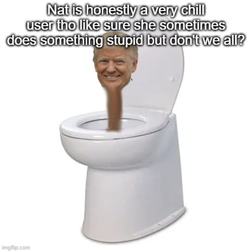 Donald Trump skibidi toilet | Nat is honestly a very chill user tho like sure she sometimes does something stupid but don't we all? | image tagged in donald trump skibidi toilet | made w/ Imgflip meme maker