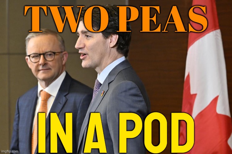 Canada And Australia Are Economic Sink Holes | TWO PEAS; IN A POD | image tagged in albanese and trudeau,australia,meanwhile in canada,meanwhile in australia,justin trudeau crying,justin trudeau | made w/ Imgflip meme maker