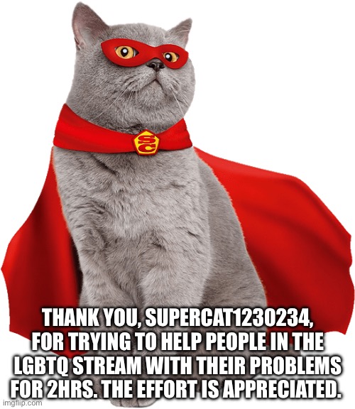 supercat1230234 appreciation post | THANK YOU, SUPERCAT1230234, FOR TRYING TO HELP PEOPLE IN THE LGBTQ STREAM WITH THEIR PROBLEMS FOR 2HRS. THE EFFORT IS APPRECIATED. | image tagged in super cat,cats,cat,super hero,lgbtq,appreciation | made w/ Imgflip meme maker