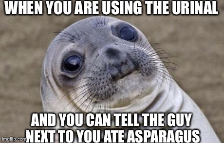 Awkward Moment Sealion | WHEN YOU ARE USING THE URINAL AND YOU CAN TELL THE GUY NEXT TO YOU ATE ASPARAGUS | image tagged in memes,awkward moment sealion | made w/ Imgflip meme maker