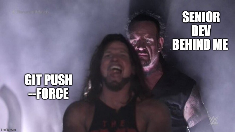 AJ Styles & Undertaker | SENIOR DEV BEHIND ME; GIT PUSH --FORCE | image tagged in aj styles undertaker | made w/ Imgflip meme maker