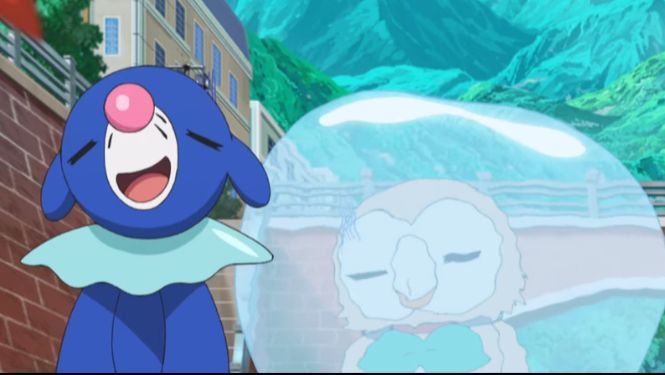 High Quality Popplio rowlet Blank Meme Template