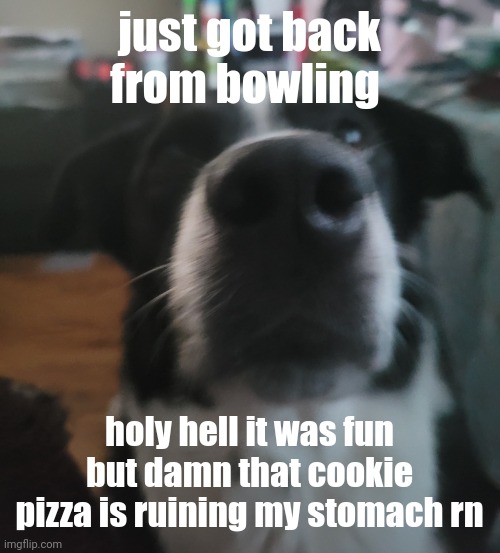 tweaks dock | just got back from bowling; holy hell it was fun but damn that cookie pizza is ruining my stomach rn | image tagged in tweaks dock | made w/ Imgflip meme maker