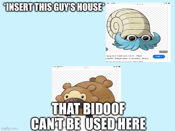 Anyone get it? | *INSERT THIS GUY’S HOUSE*; THAT BIDOOF CAN’T BE  USED HERE | image tagged in pokemon | made w/ Imgflip meme maker