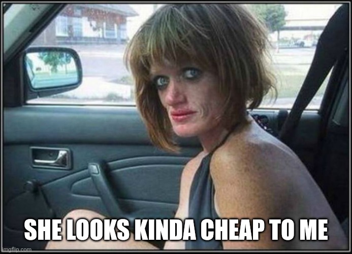 Ugly meth heroin addict Prostitute hoe in car | SHE LOOKS KINDA CHEAP TO ME | image tagged in ugly meth heroin addict prostitute hoe in car | made w/ Imgflip meme maker