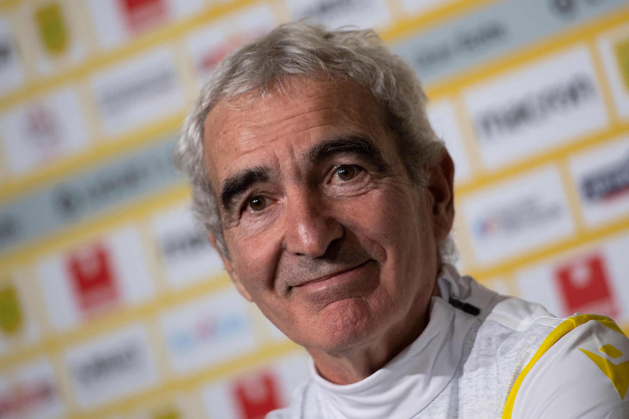 Raymond Domenech sourit Blank Meme Template