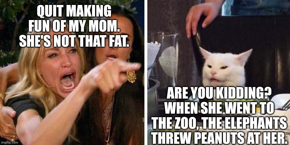Smudge that darn cat with Karen | QUIT MAKING FUN OF MY MOM. SHE'S NOT THAT FAT. ARE YOU KIDDING? WHEN SHE WENT TO THE ZOO, THE ELEPHANTS THREW PEANUTS AT HER. | image tagged in smudge that darn cat with karen | made w/ Imgflip meme maker
