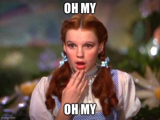 Dorothy | OH MY; OH MY | image tagged in dorothy | made w/ Imgflip meme maker