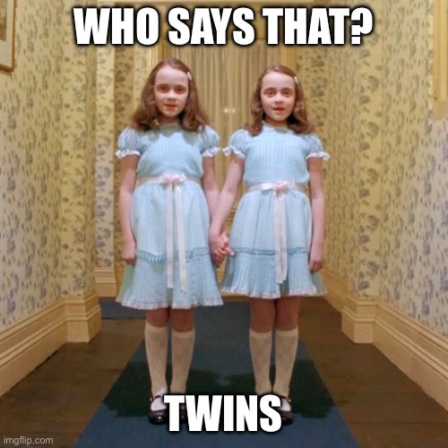 Twins from The Shining | WHO SAYS THAT? TWINS | image tagged in twins from the shining | made w/ Imgflip meme maker