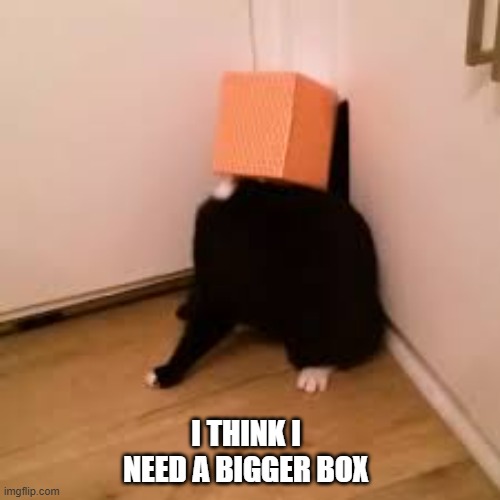 memes by Brad - My cat needs a bigger box | I THINK I NEED A BIGGER BOX | image tagged in funny,cats,cute kitten,funny cat memes,kitten,humor | made w/ Imgflip meme maker