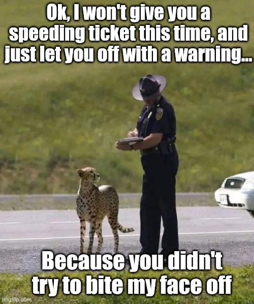 Good cop, bad kitty | Ok, I won't give you a speeding ticket this time, and just let you off with a warning... Because you didn't try to bite my face off | image tagged in cheetah,speeding ticket,cops,cats,comedy | made w/ Imgflip meme maker