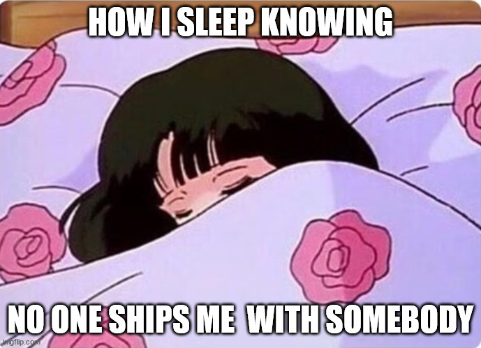 how i sleep | HOW I SLEEP KNOWING; NO ONE SHIPS ME  WITH SOMEBODY | image tagged in how i sleep | made w/ Imgflip meme maker