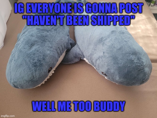 My brother's and my blahaj | IG EVERYONE IS GONNA POST
"HAVEN'T BEEN SHIPPED"; WELL ME TOO BUDDY | image tagged in my brother's and my blahaj | made w/ Imgflip meme maker