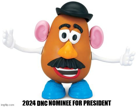 A potato in every pot | DNC | image tagged in dnc nominee,mr potatohead 2024,a potato in every pot,eyes on the prize,already woke and not sleepy | made w/ Imgflip meme maker