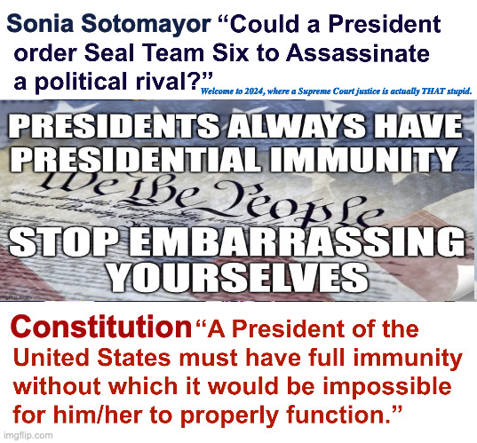 Sonia Sotomayer Outs Herself as a Fake | Sonia Sotomayor; Welcome to 2024, where a Supreme Court justice is actually THAT stupid. Constitution | image tagged in trump presidential immunity meme,supreme court,constitution,sonia sotomayer,imposter | made w/ Imgflip meme maker