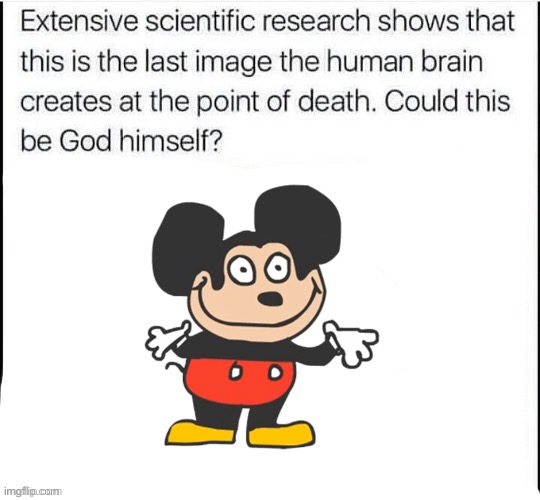 Could this be God himself? | image tagged in could this be god himself,mokey normal | made w/ Imgflip meme maker