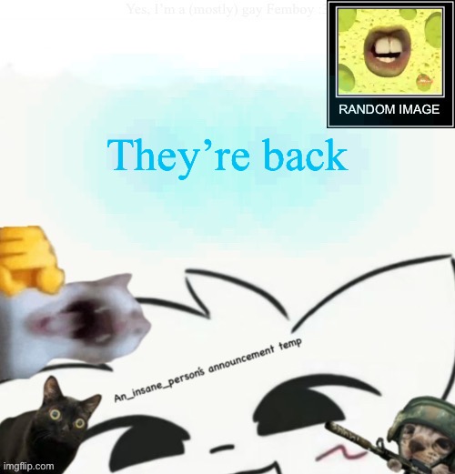 My lil announcement | They’re back | image tagged in my lil announcement | made w/ Imgflip meme maker