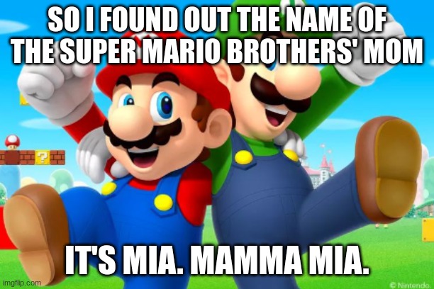 So I found out the name of the Super Mario Bros. mom | SO I FOUND OUT THE NAME OF THE SUPER MARIO BROTHERS' MOM; IT'S MIA. MAMMA MIA. | image tagged in super mario bros,funny,nintendo,jokes,family | made w/ Imgflip meme maker