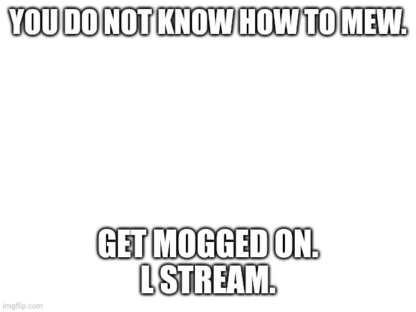 YOU DO NOT KNOW HOW TO MEW. GET MOGGED ON.
L STREAM. | made w/ Imgflip meme maker
