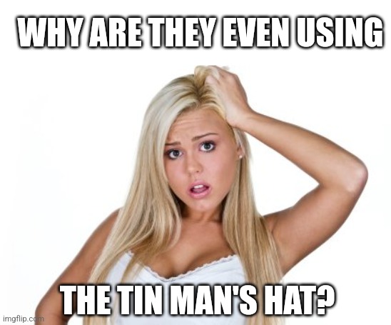 Dumb Blonde | WHY ARE THEY EVEN USING THE TIN MAN'S HAT? | image tagged in dumb blonde | made w/ Imgflip meme maker