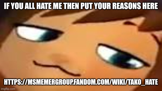 smug hat kid.mp4 | IF YOU ALL HATE ME THEN PUT YOUR REASONS HERE; HTTPS://MSMEMERGROUP.FANDOM.COM/WIKI/TAKO_HATE | image tagged in smug hat kid mp4 | made w/ Imgflip meme maker
