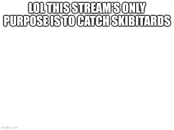 LOL THIS STREAM'S ONLY PURPOSE IS TO CATCH SKIBITARDS | made w/ Imgflip meme maker