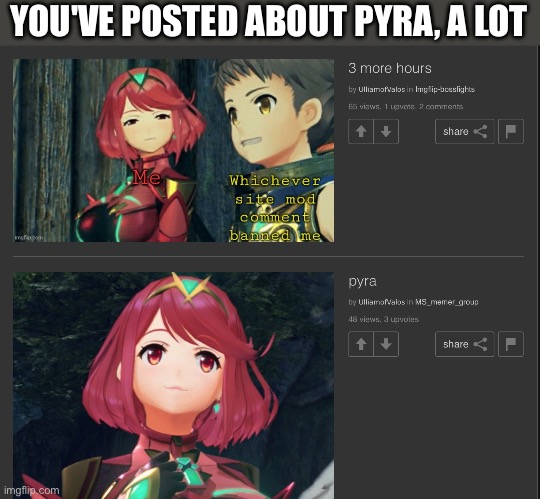 YOU'VE POSTED ABOUT PYRA, A LOT | made w/ Imgflip meme maker