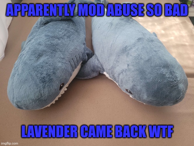 Oddness | APPARENTLY MOD ABUSE SO BAD; LAVENDER CAME BACK WTF | image tagged in my brother's and my blahaj | made w/ Imgflip meme maker